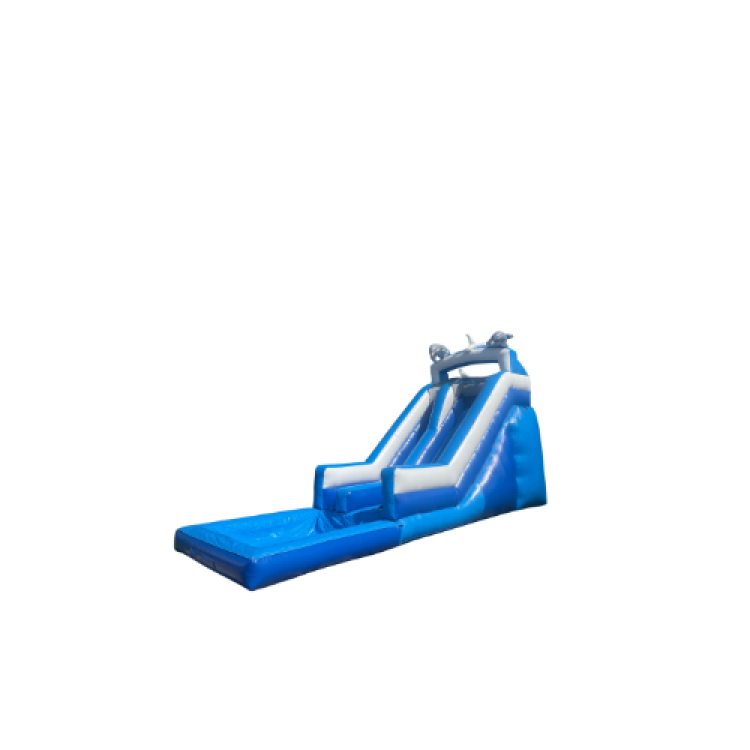 16ft Dolphin Slide